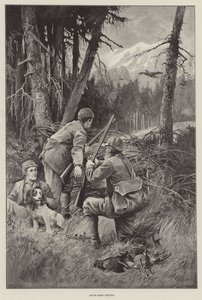 Chasse au tétras noir